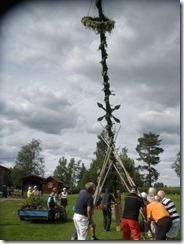 Majstången på golfklubben reses