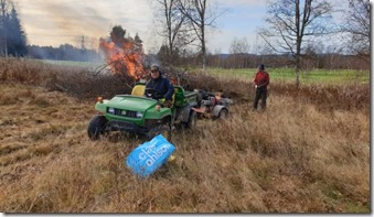 Riset bränns på Röjdagen